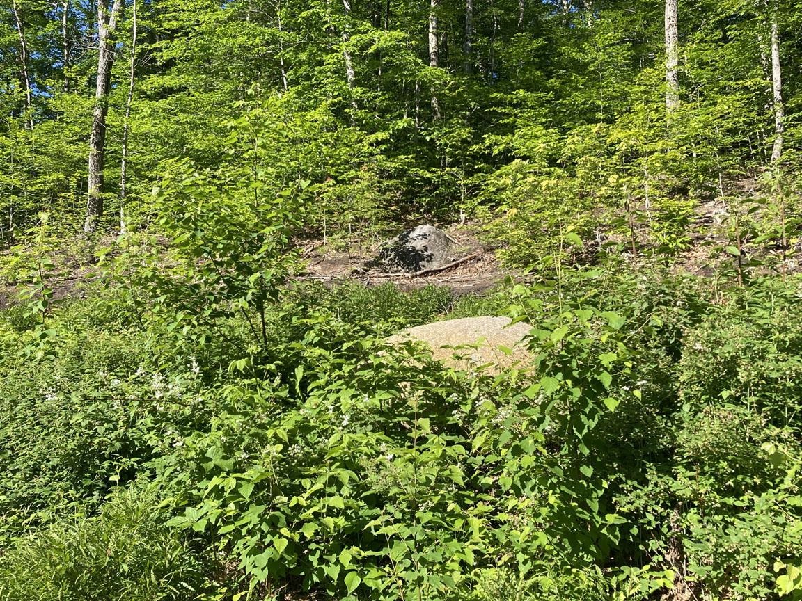 95 Seven Pines Road Holderness, NH 03245 - Photo 8 of 16