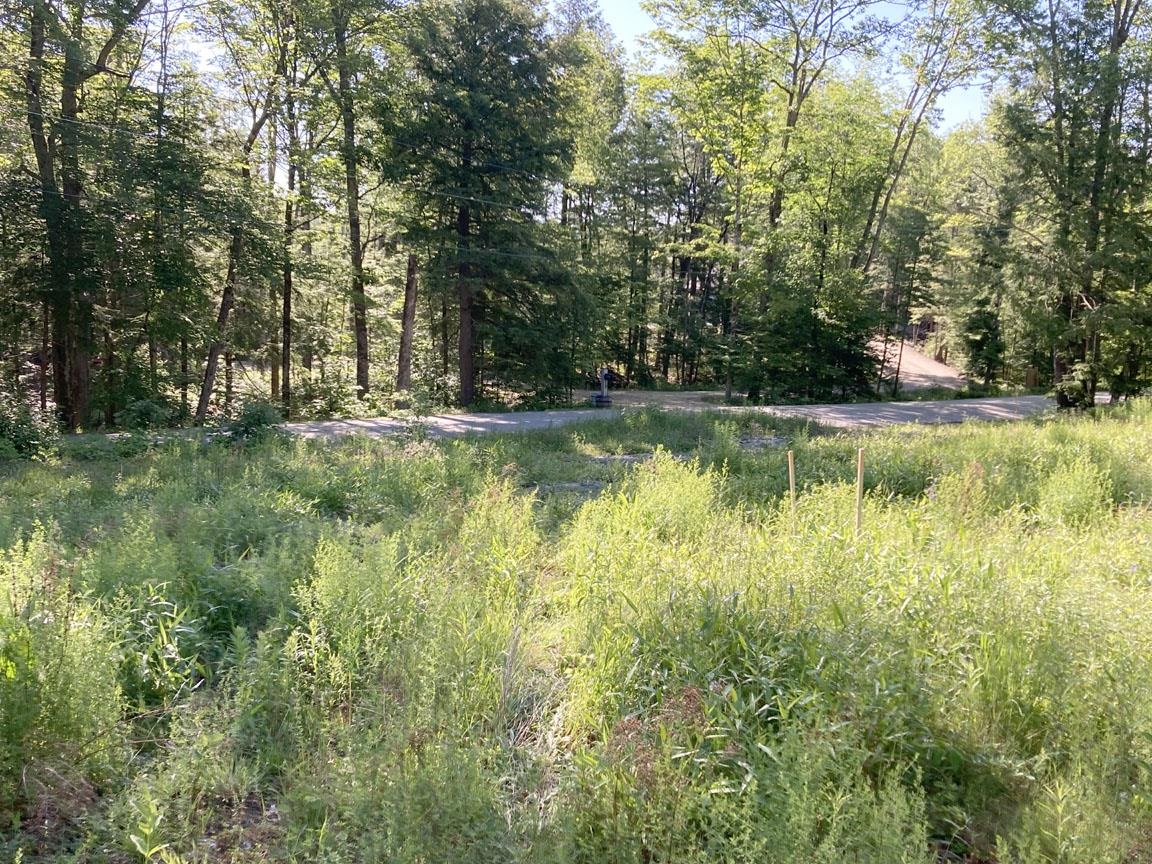 95 Seven Pines Road Holderness, NH 03245 - Photo 10 of 16