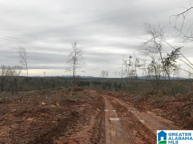 Griffitt Bend Road, Unit 93 Talladega, AL 35160 - Photo 5 of 7