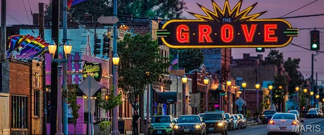 $499,998 | 1301 Kentucky Avenue, St. Louis, MO 63110