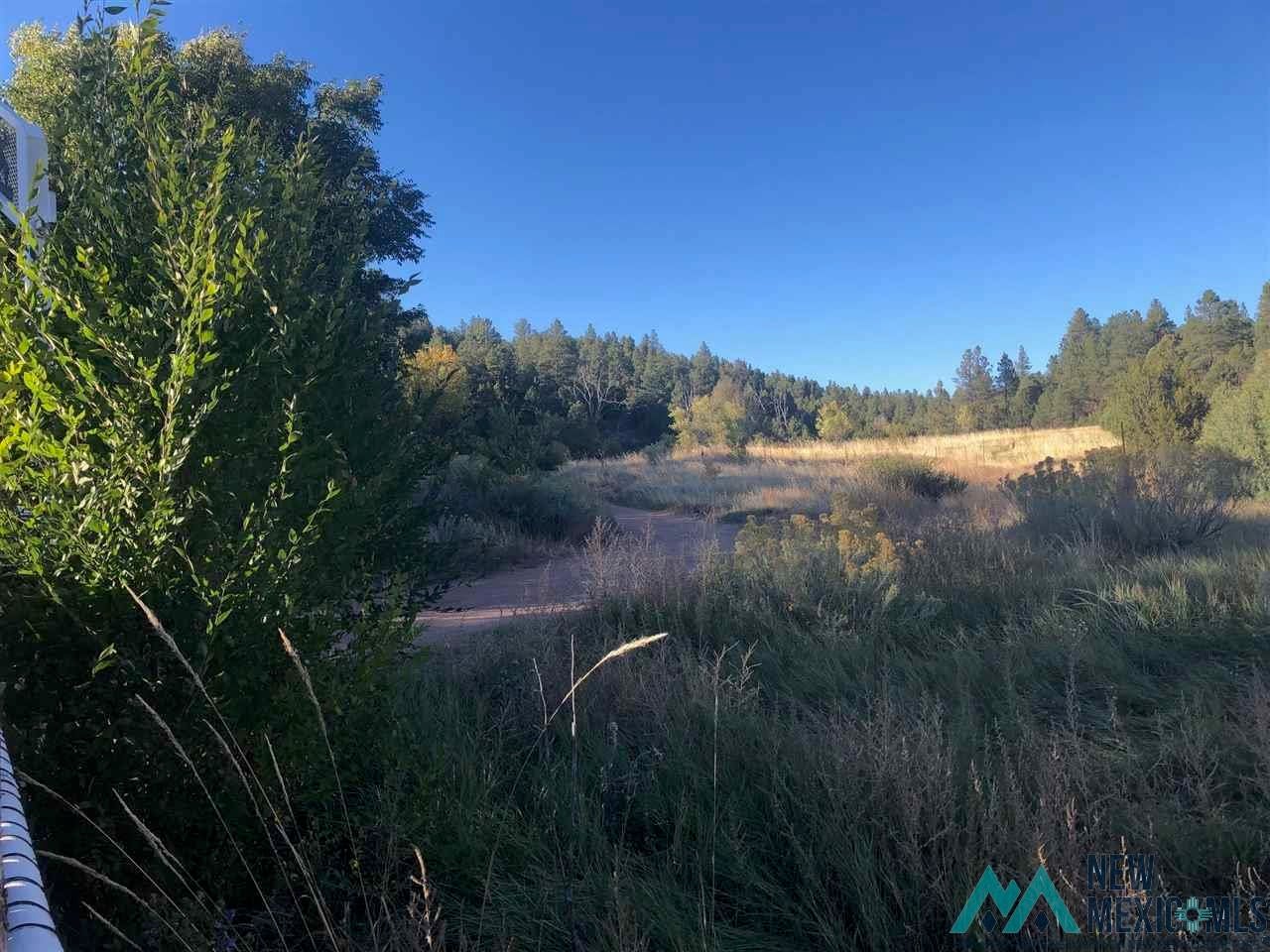 Cr A11a Road Las Vegas, NM 87701 - Photo 1 of 1