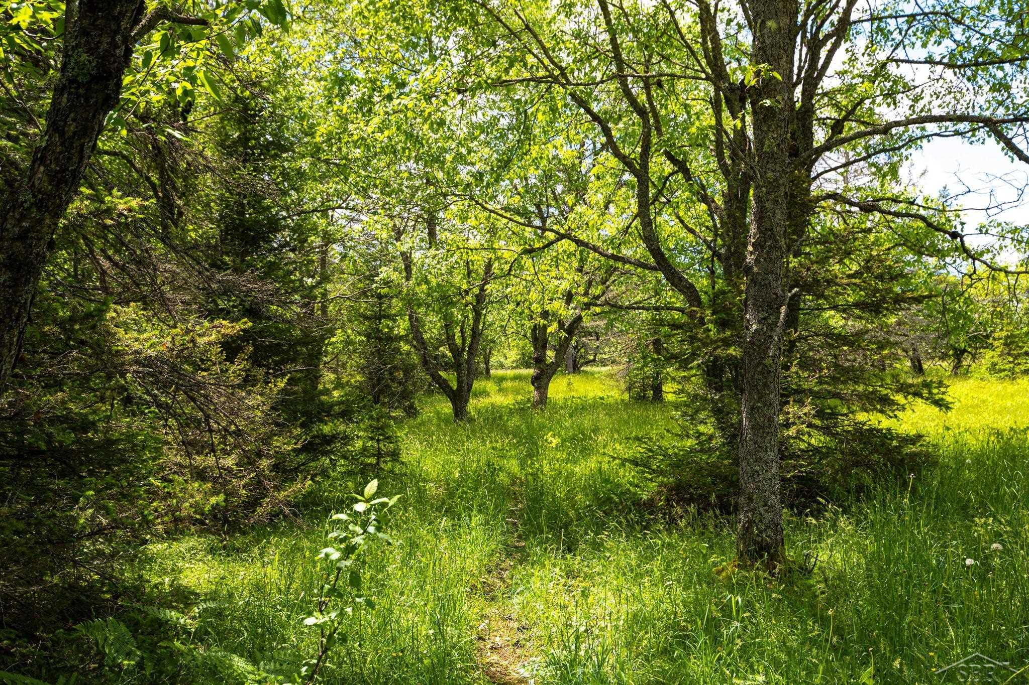 25615 Leo S Road Watton, MI 49970 - Photo 59 of 72