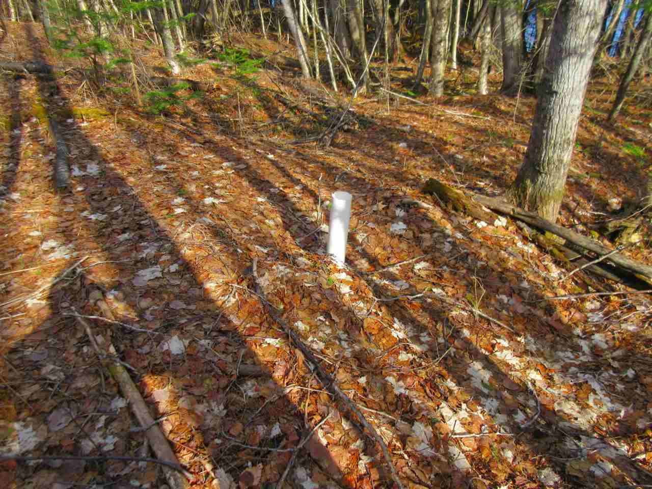 0 Jones Road West Charleston, VT 05872 - Photo 8 of 18 Gallery Image 8