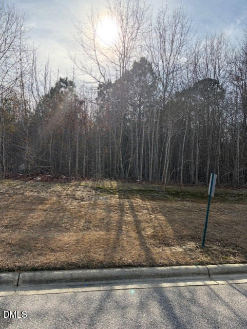 206 Hope Street Erwin, NC 28339 - Photo 1 of 10