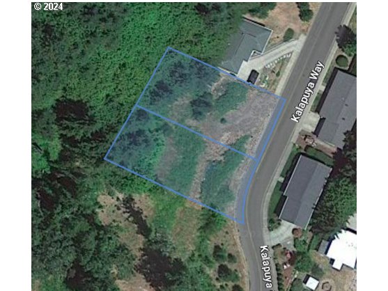 Kalapuya Way, Unit 4200 Cottage Grove, OR 97424 - Photo 5 of 6 an aerial view of a house with outdoor space