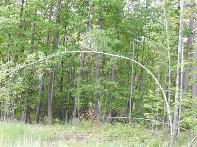 $69,000 | 0 Pine Street, Unit 36, Newport, VT 05855