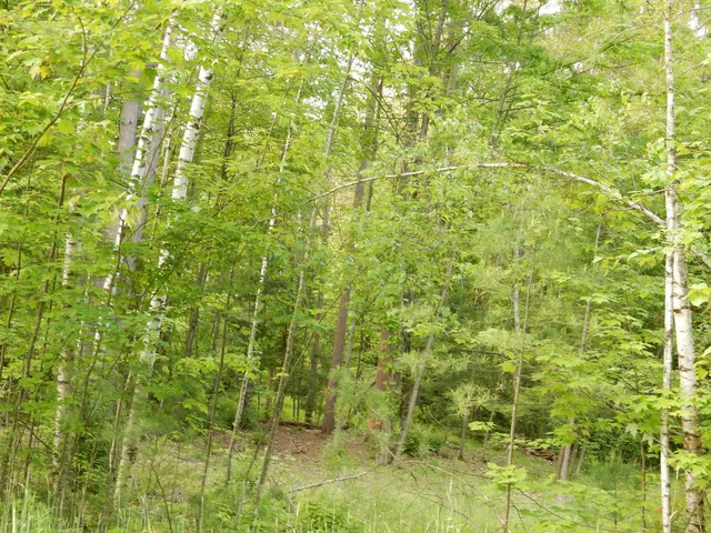 $69,000 | 0 Pine Street, Unit 36, Newport, VT 05855