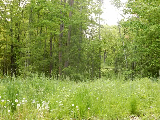 $69,000 | 0 Pine Street, Unit 36, Newport, VT 05855