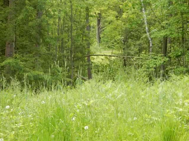 $69,000 | 0 Pine Street, Unit 36, Newport, VT 05855