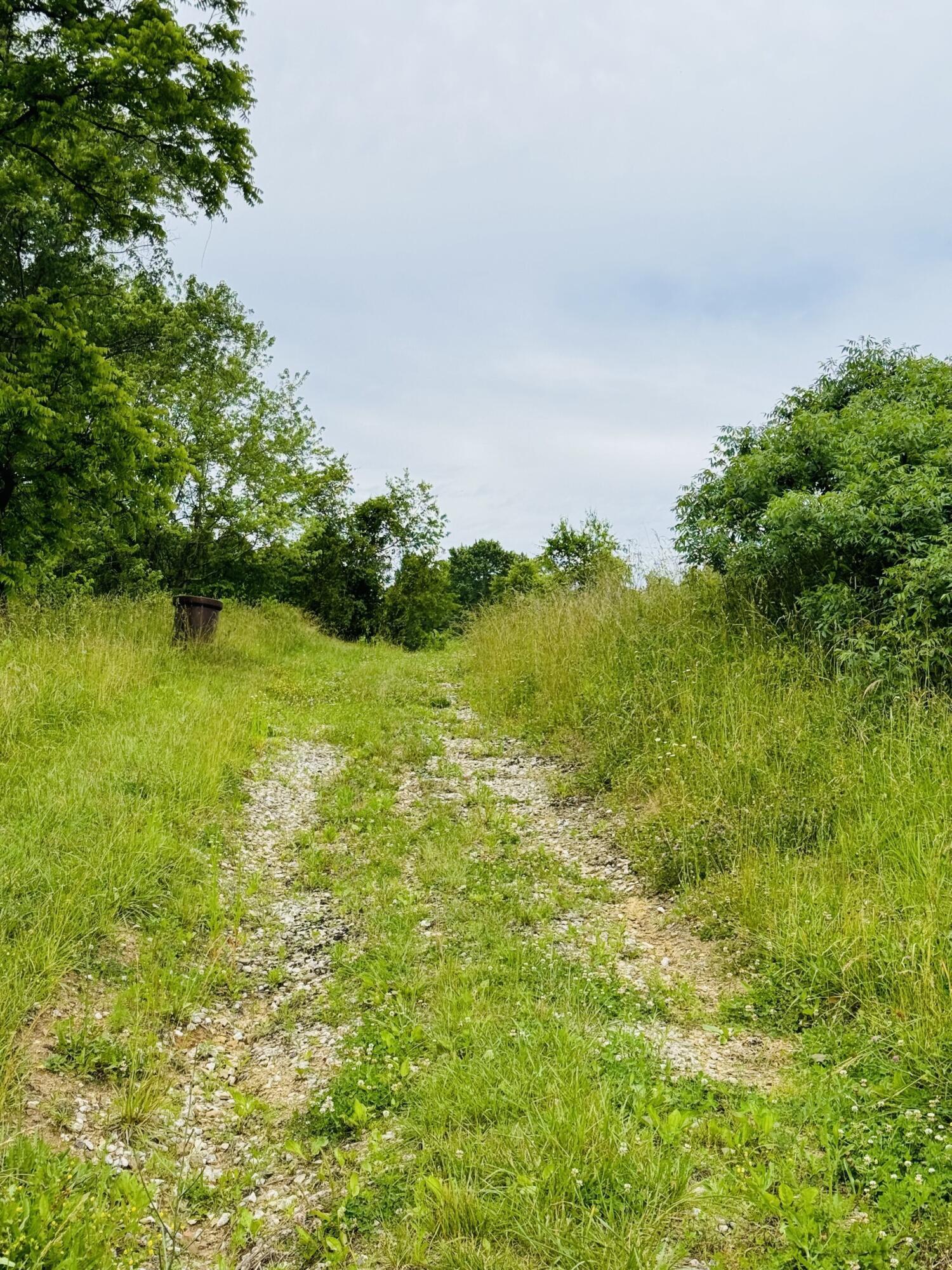 37416 New Lima Road, Unit 2 251 ACRES Rutland, OH 45775 - Photo 4 of 11 Gravel drive for tract 2