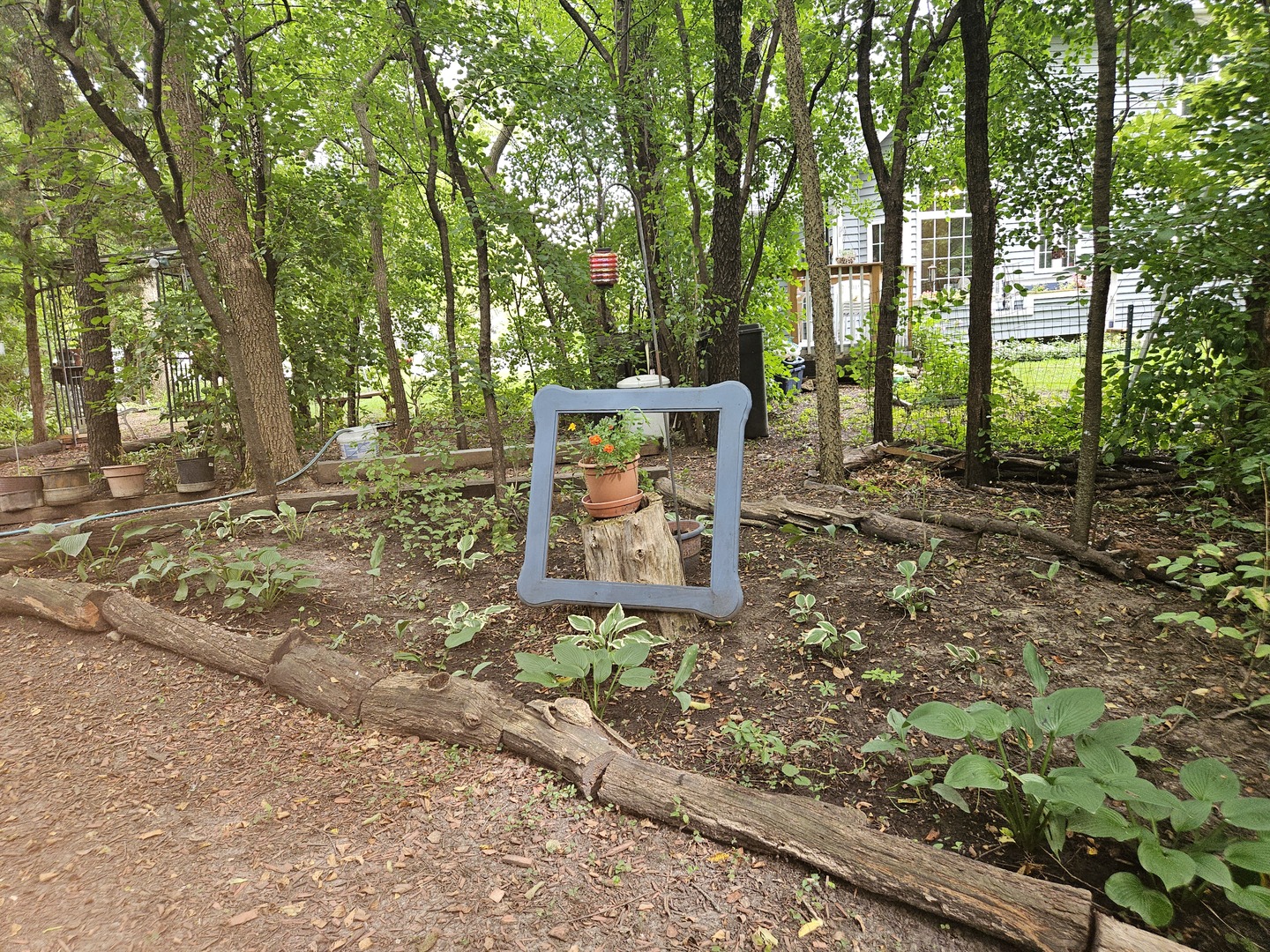 688 Fox Hollow Court DeKalb, IL 60115 - Photo 29 of 31 a view of a yard with plants and trees