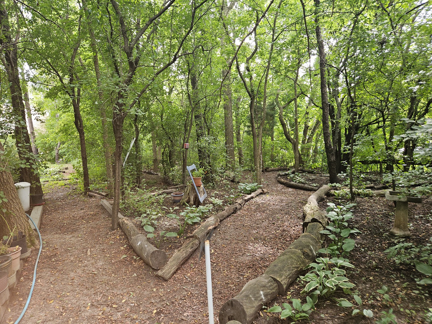 688 Fox Hollow Court DeKalb, IL 60115 - Photo 30 of 31 a view of a forest with large trees