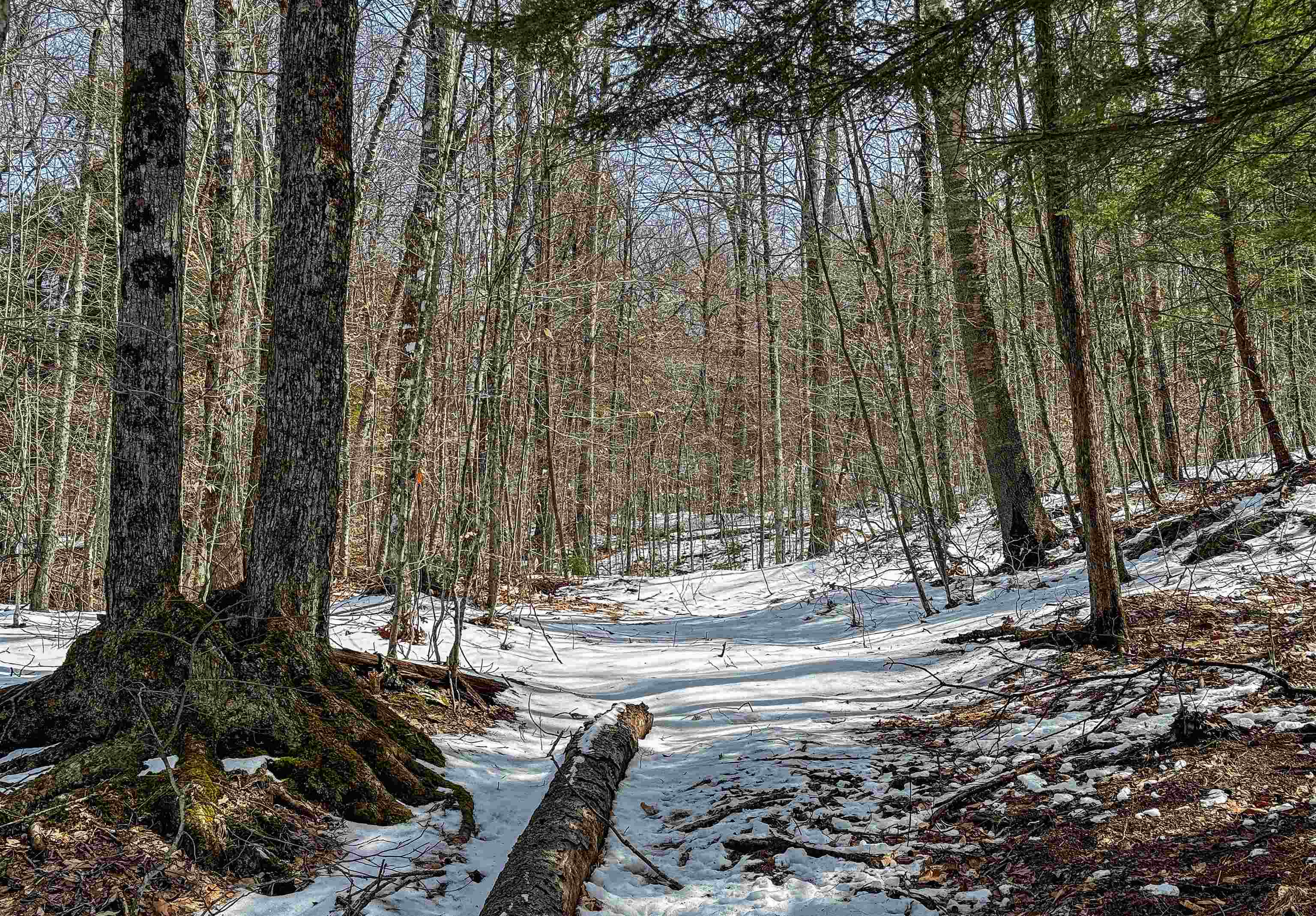 441 Tower Road Barnet, VT 05819 - Photo 34 of 49