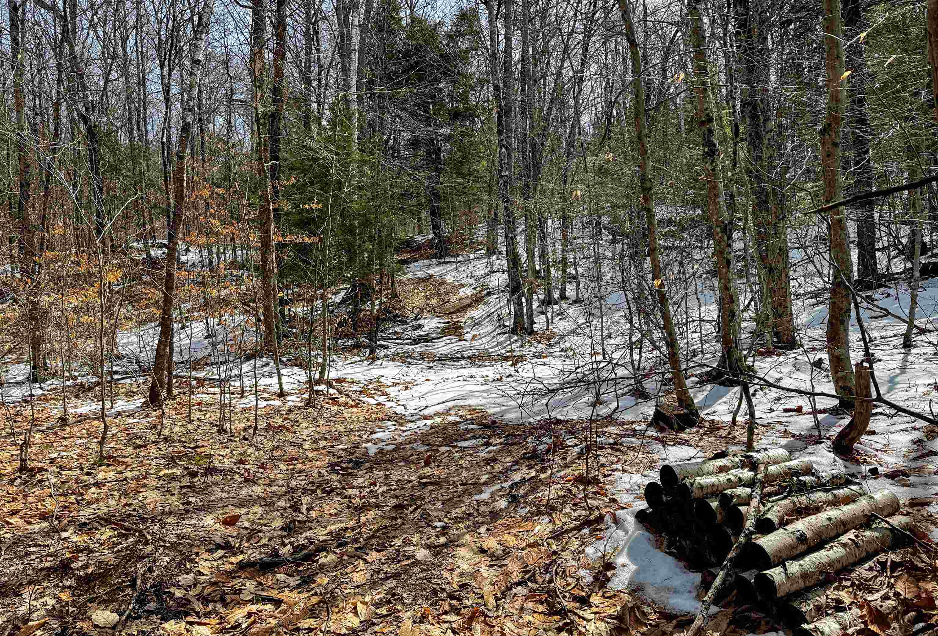 441 Tower Road Barnet, VT 05819 - Photo 35 of 49