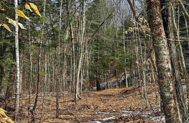 $399,000 | 441 Tower Road, Barnet, VT 05819