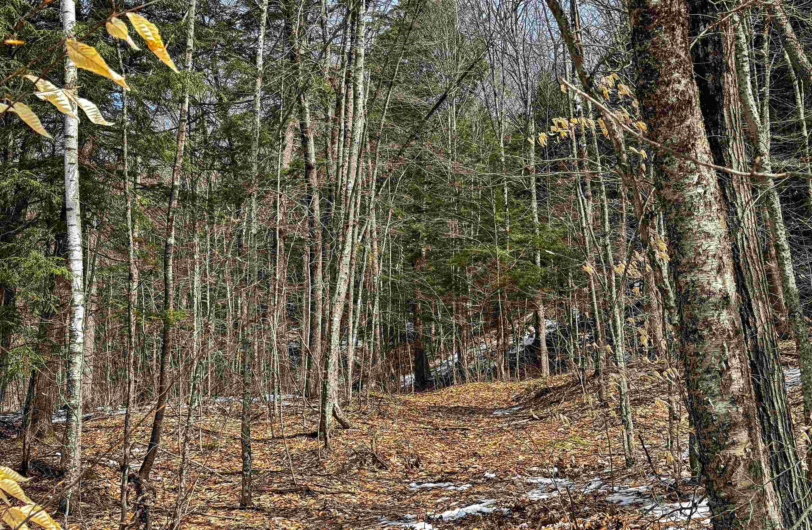 441 Tower Road Barnet, VT 05819 - Photo 36 of 49