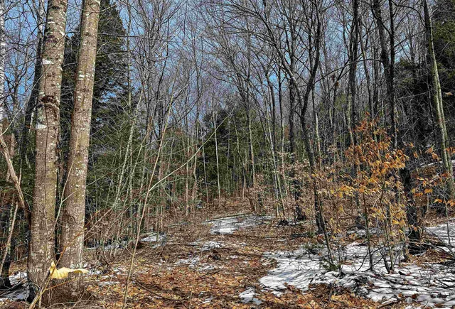 $399,000 | 441 Tower Road, Barnet, VT 05819