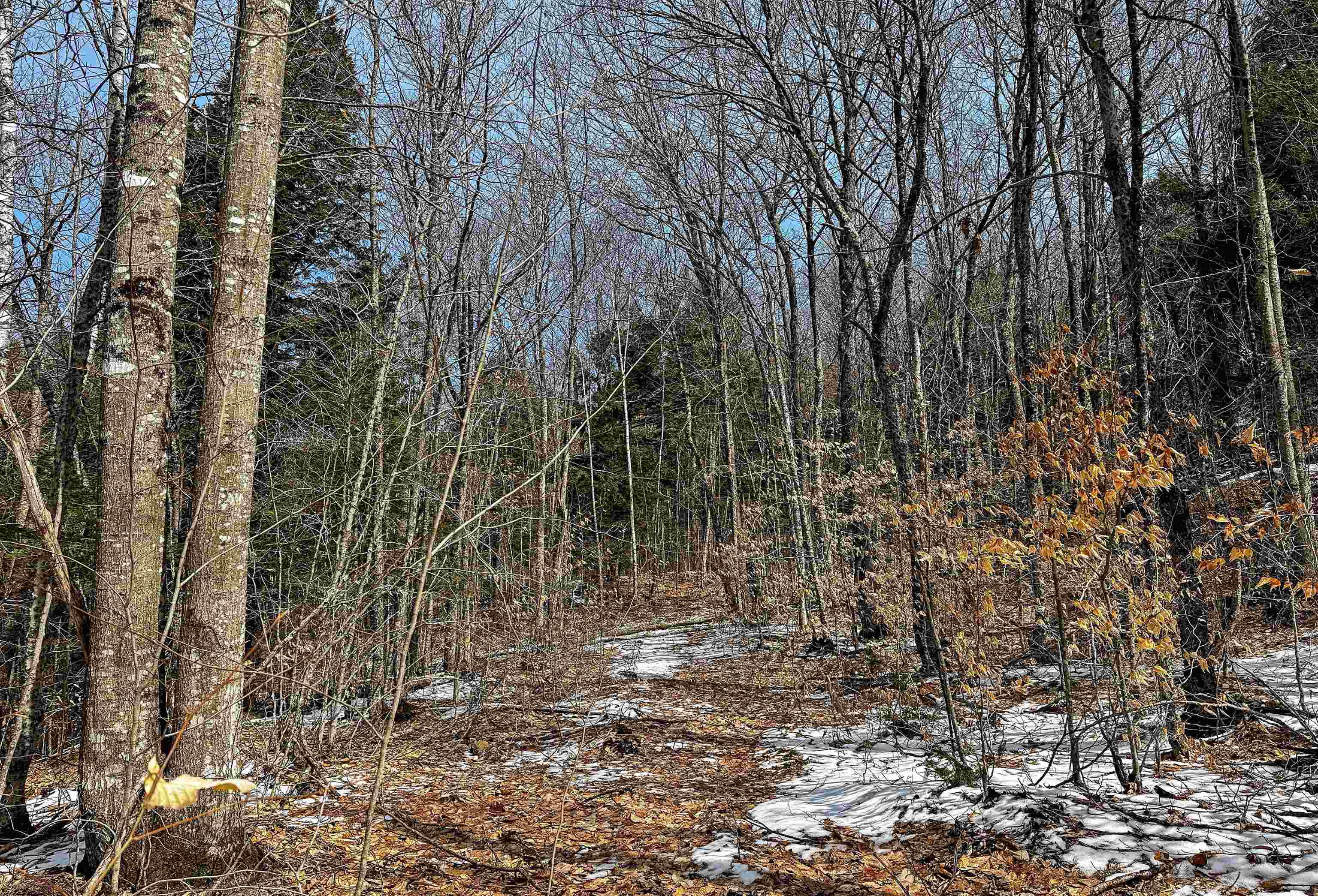 441 Tower Road Barnet, VT 05819 - Photo 37 of 49