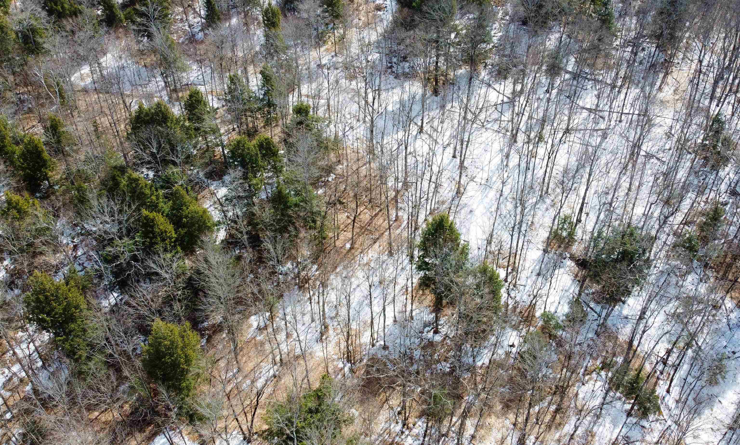 441 Tower Road Barnet, VT 05819 - Photo 38 of 49