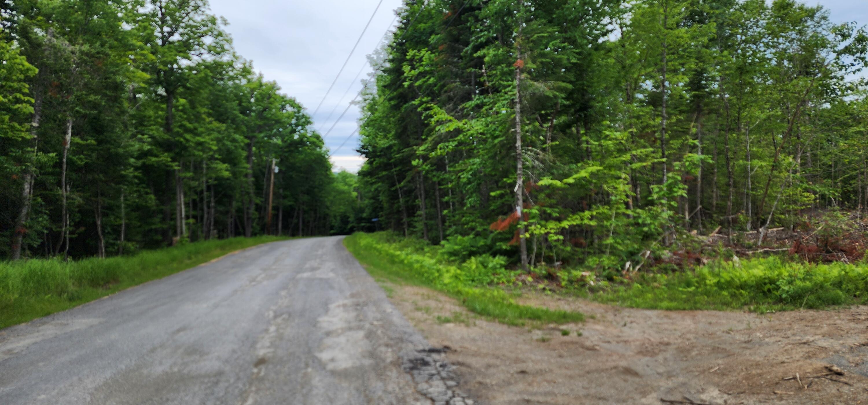 Off Brooks Road Island Falls, ME 04747 - Photo 4 of 19 20240617_124729