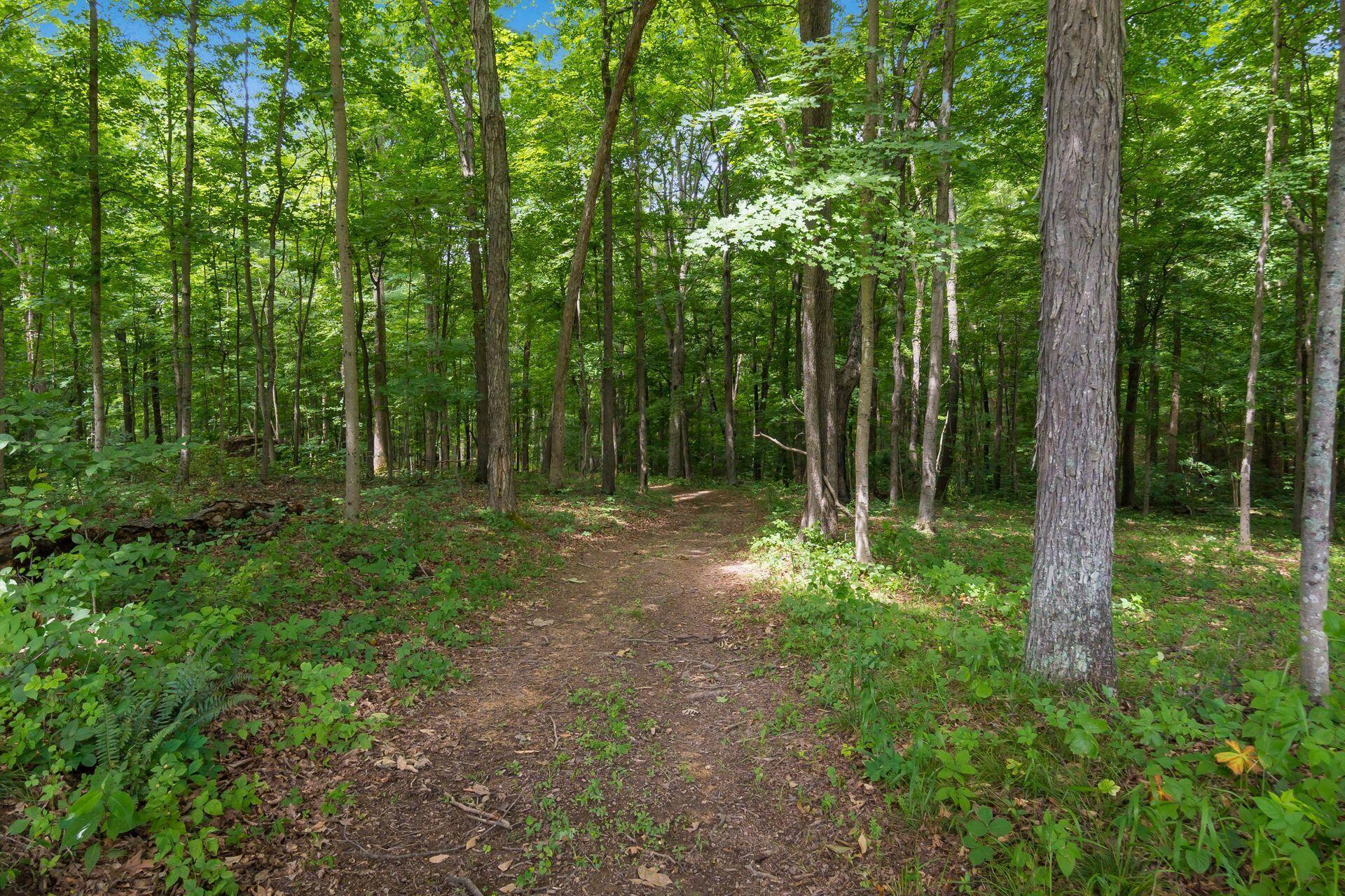 770 Standpipe Road Jackson, OH 45640 - Photo 104 of 143