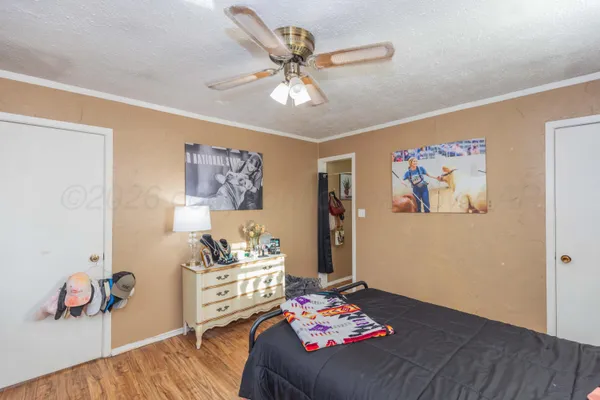 a view of road with large trees