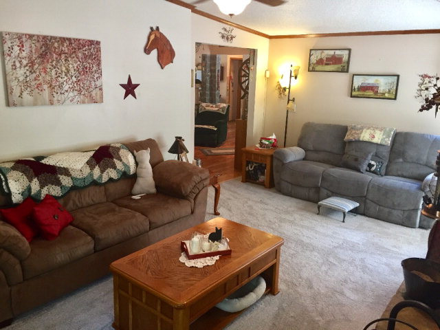 768 Done Roven Road Augusta, GA 30906 - Photo 15 of 30 Family room