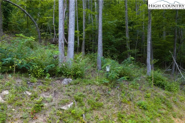 a view of a garden with a slide