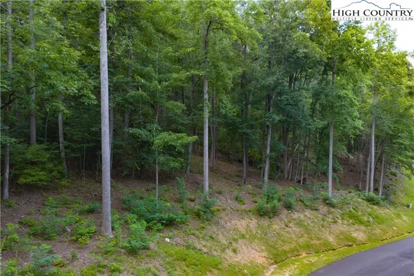 an aerial view of residential house with outdoor space and trees all around