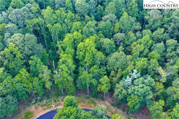 an aerial view of residential house with outdoor space and trees all around