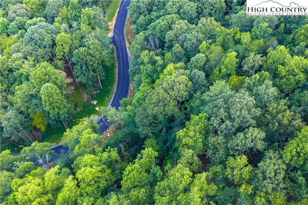 a view of a lush green hillside and a houses
