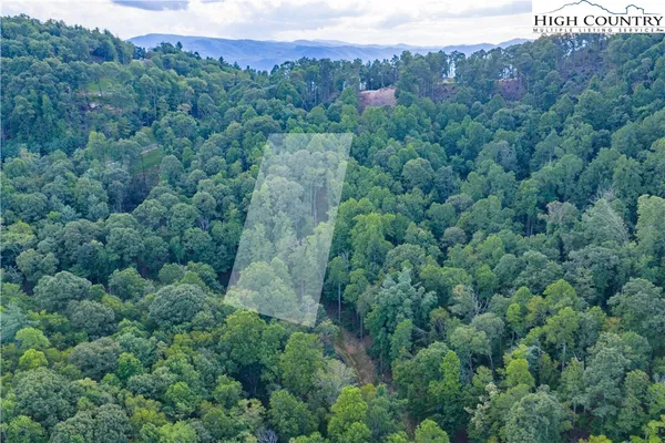 an aerial view of a forest with houses