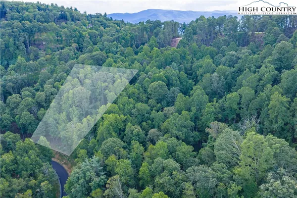 a view of a garden with plants