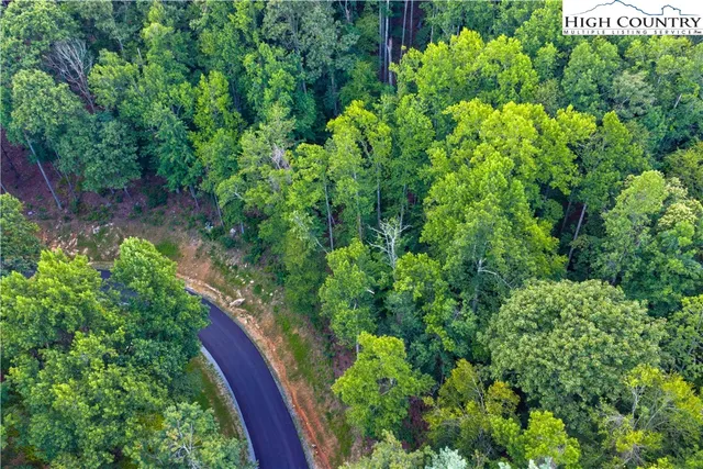 a view of a lush green forest with trees in the background