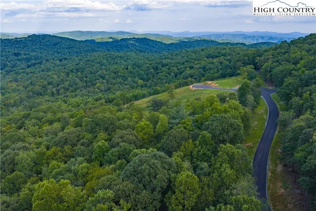 a view of a city with lush green forest