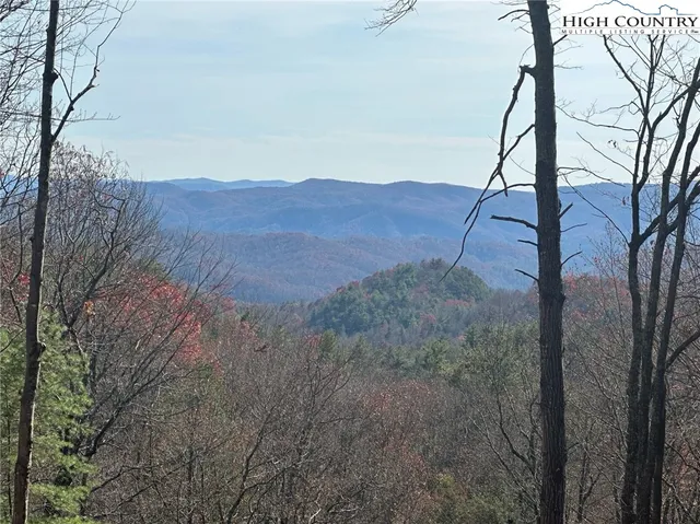a view of a dry yard with mountains in the background