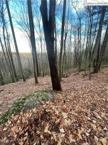 a picture of a book of a white house