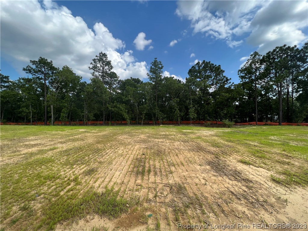 3631 Winesap Road Hope Mills, NC 28348 - Photo 20 of 21 Gallery Image 20