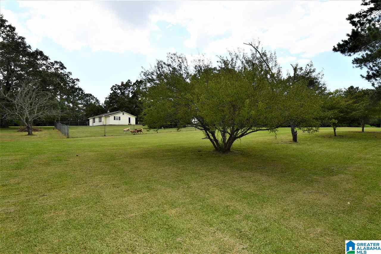 185 Crane Road Piedmont, AL 36272 - Photo 20 of 20