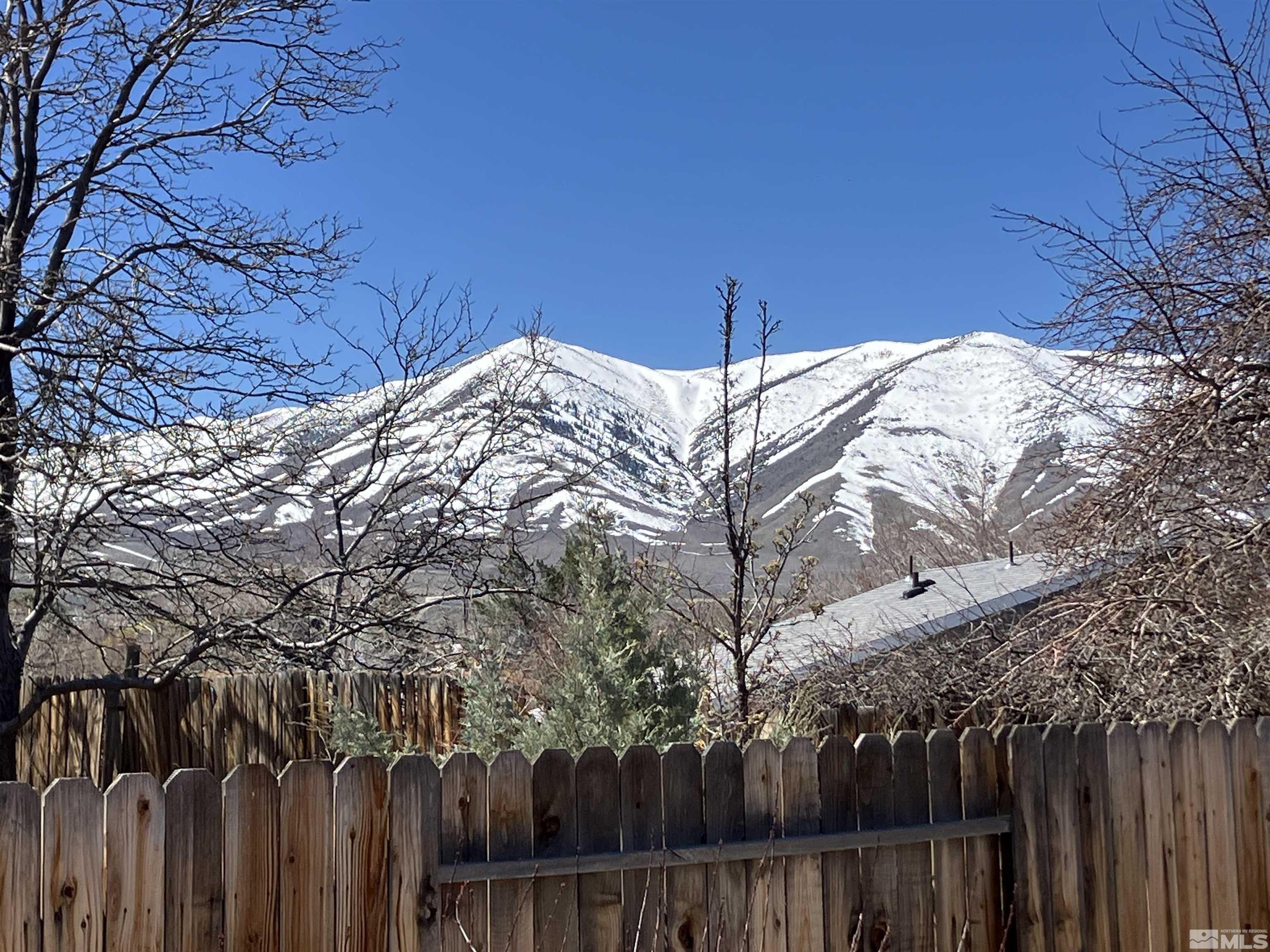 13041 Exinite Drive Reno, NV 89506 - Photo 4 of 23 a view of a backyard with wooden fence and large trees