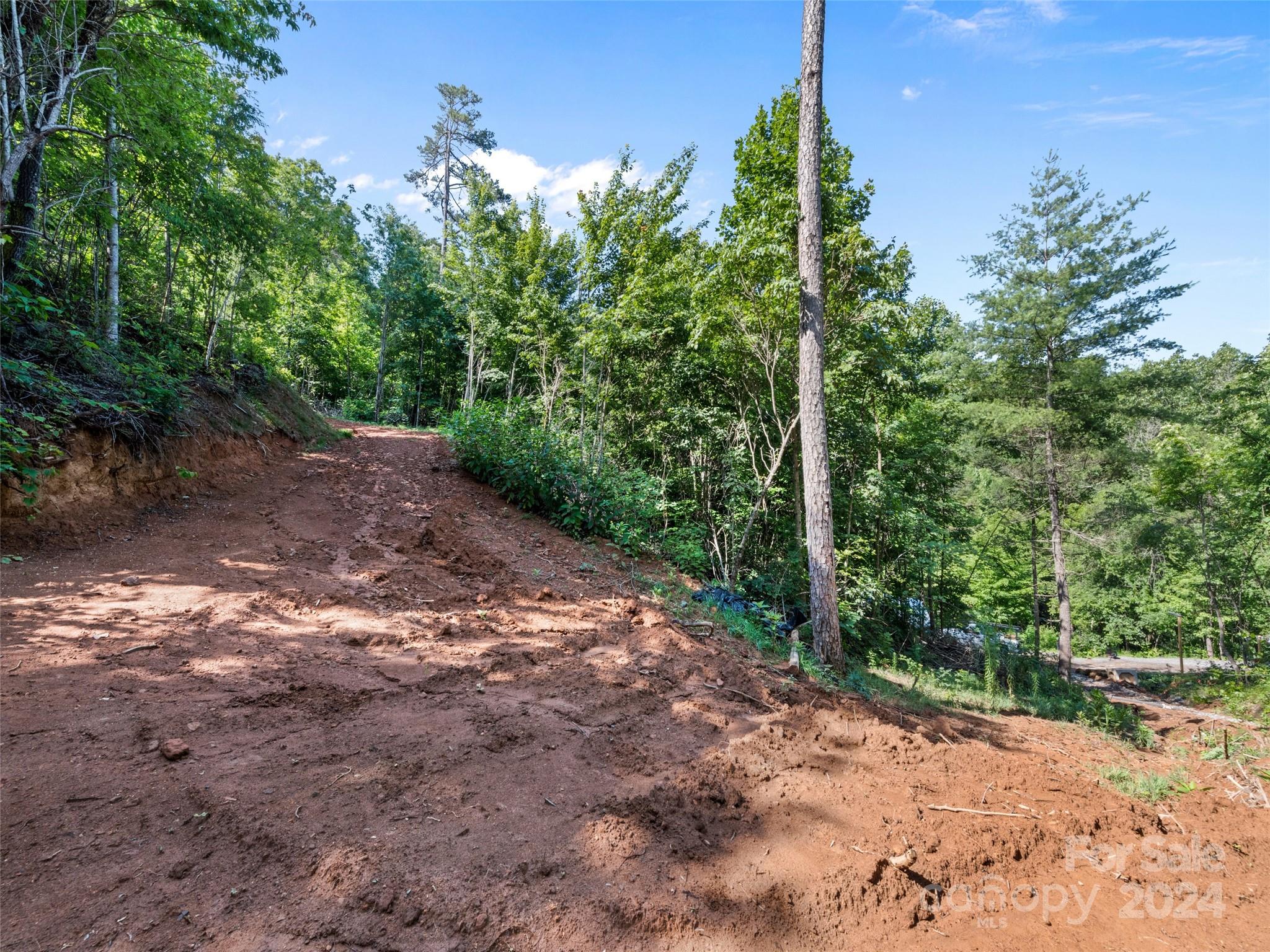 0 Ashe Loop Road Sylva, NC 28779 - Photo 12 of 23 a backyard of a house with lots of green space