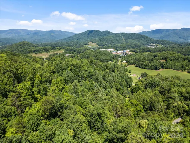 a view of a lush green forest with mountains in the background