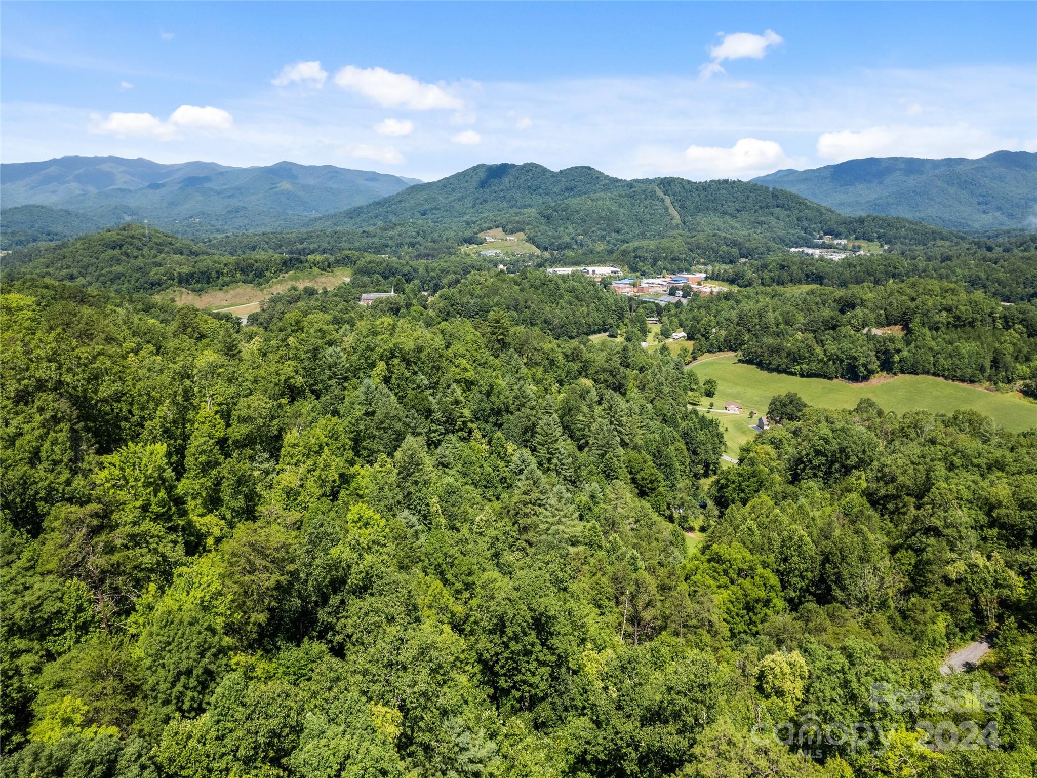 0 Ashe Loop Road Sylva, NC 28779 - Photo 15 of 23 a view of a lush green forest with mountains in the background