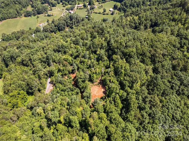 a view of a house with a lush green forest