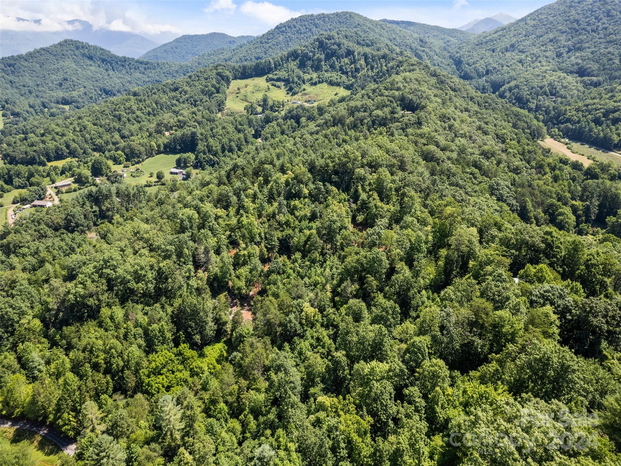 0 Ashe Loop Road Sylva, NC 28779 - Photo 18 of 23 a view of a lush green forest with a lush green hillside