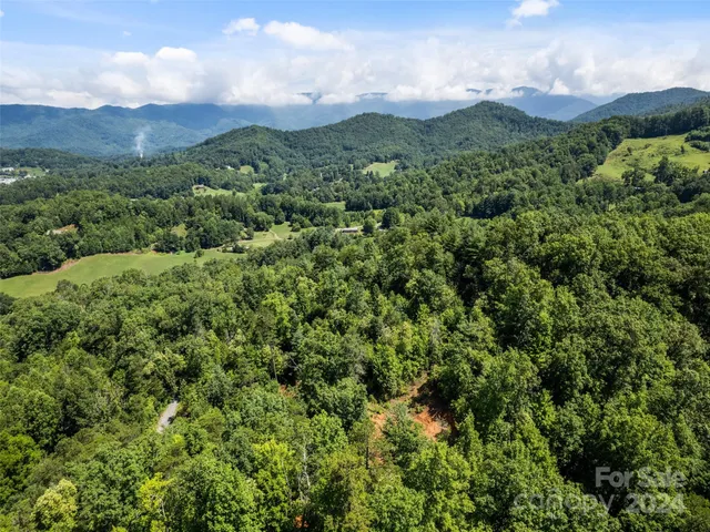 a view of a green field with lots of bushes