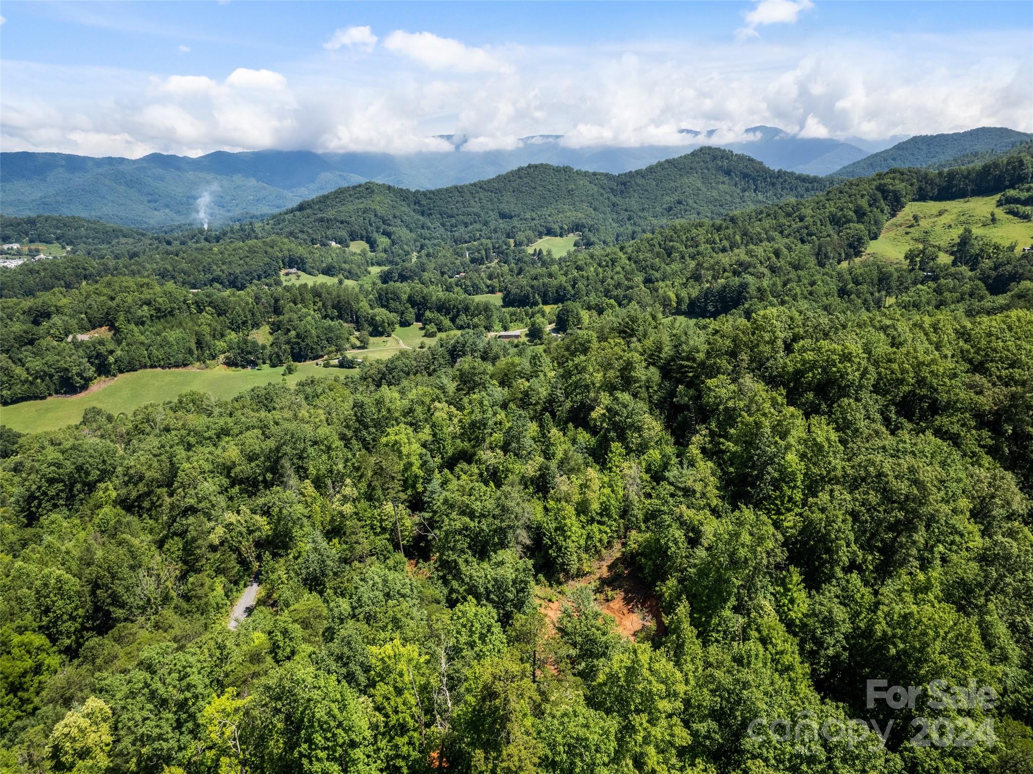 0 Ashe Loop Road Sylva, NC 28779 - Photo 21 of 23 a view of a green field with lots of bushes