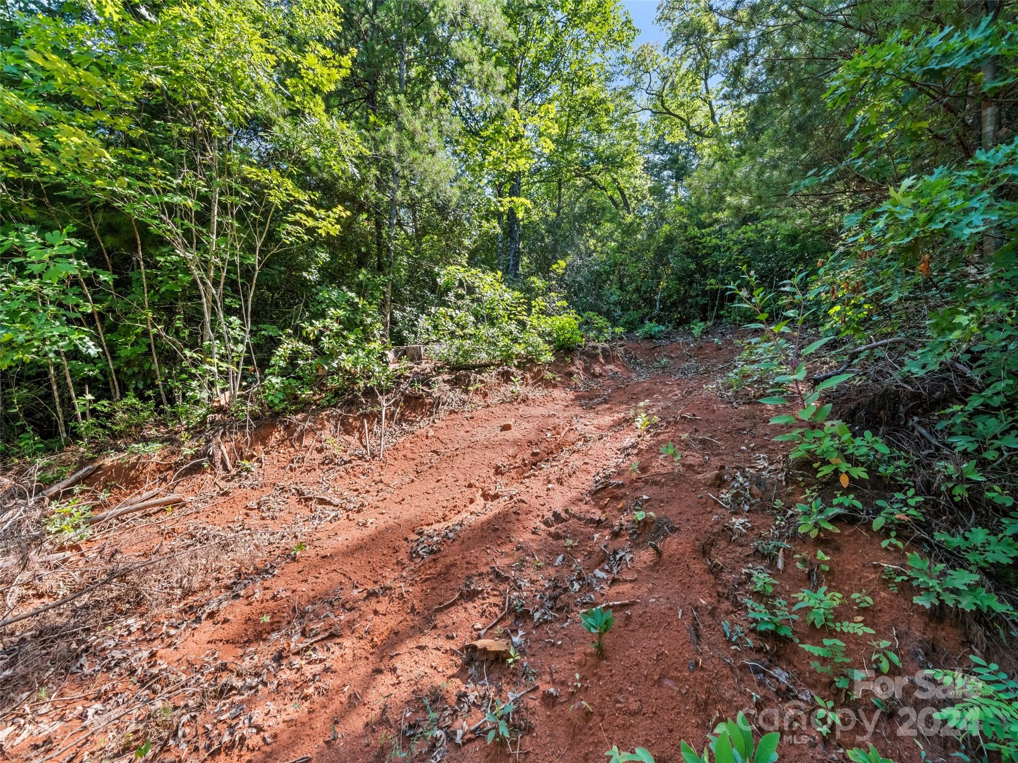 0 Ashe Loop Road Sylva, NC 28779 - Photo 6 of 23 a view of a yard with a tree