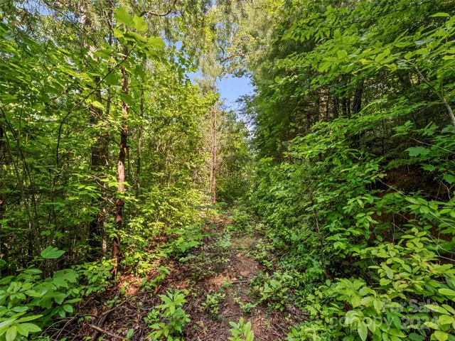 a backyard of a house with lots of plants
