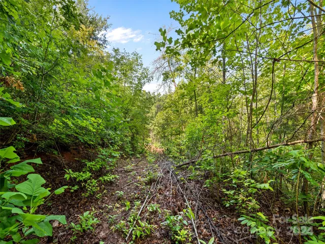 a backyard of a house with lots of plants